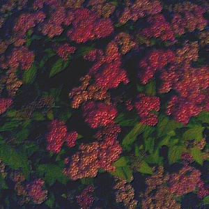 美女全身赤裸网站18网站
