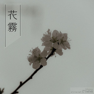 美女全身赤裸网站18网站
